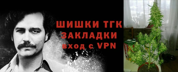 крисы Баксан