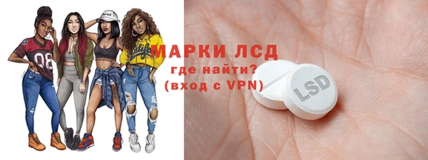 крисы Баксан