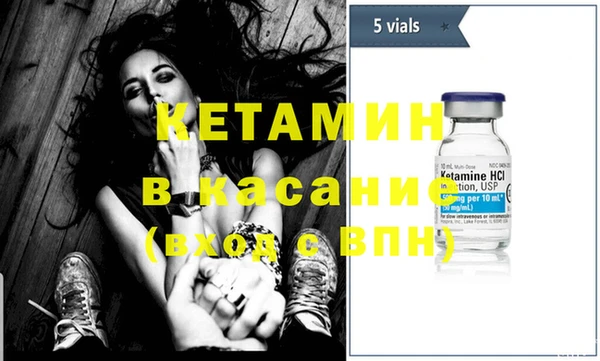крисы Баксан