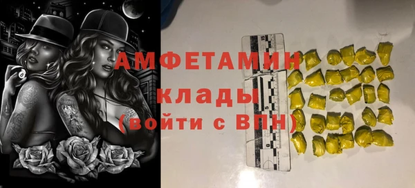 крисы Баксан