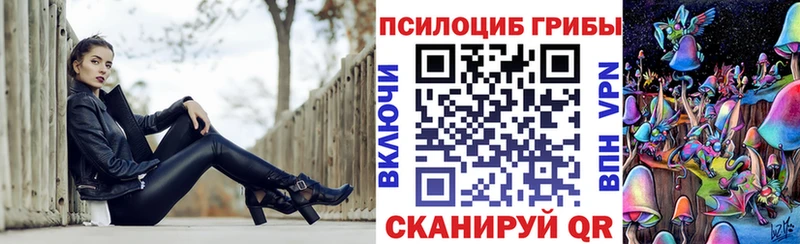 Галлюциногенные грибы Psilocybe  Озёрск 