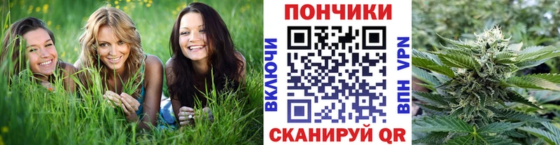 купить закладку  Озёрск  Бошки марихуана THC 21% 